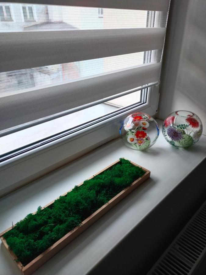 Przy Rynku Apartment *
